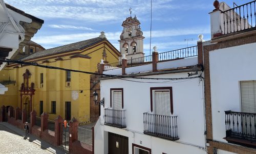IMG_6479